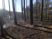 Zagrożenie pożarowe każdego dnia większe 