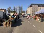 Po owoce, chrzan, jajka i cebulę na ryneczek