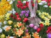 Święconka, jajko, śmigus dyngus i coś jeszcze