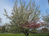 Jak to drzewiej na majówkach bywało