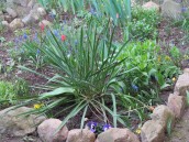 No nie da się, zwyczajnie nie da się i tyle