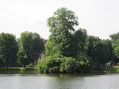 Nadzieja, że w parku będzie jeszcze zielono