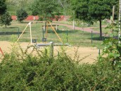 Musi być w życiu także coś optymistycznego