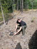 Młody bielik uratowany przez leśników