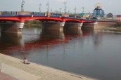 Zaraza to ściema i spisek sił nieokreślonych