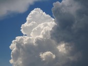 Zarząd bez absolutorium i  wotum zaufania