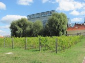 Gorzów miał, ma i będzie miał przechlapane