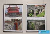 Mosty, Mostki i kładki na zdjęciach fotografów