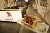 Jabłkowe piątki w gorzowskim magistracie