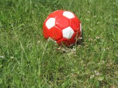 Mistrzów sportu za wielu akurat nie mamy