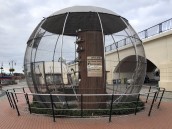 Papugi z bulwaru poleciały w ciepłe miejsce