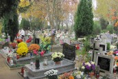 Cmentarze - komunalne, wyznaniowe, zapomniane...