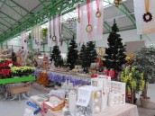 Z pewnością się odbędą, ale jakie one będą?