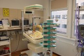Światowy dzień małych wojowników