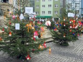 Święta to nie tylko przeżycia religijne