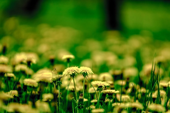medium_news_header_29157.jpg