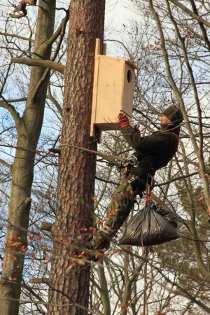 Fot. Marcin Kaczmarek (Nadleśnictwo Barlinek)