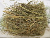 Co trzeba i wypada wiedzieć o świętach…