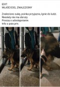 Dzięki chłopcom i policjantowi wrócił do domu