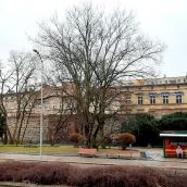 Ma być cudnie na malusich plantach