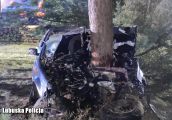 Rośnie liczba śmiertelnych wypadków z winy nietrzeźwych