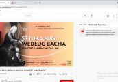 Kultura w sieci, sieć dla kultury