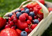 Polacy chcą jeść więcej owoców i warzyw