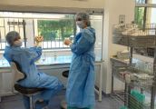 Pracownia Żywienia Pozajelitowego w Gorzowie