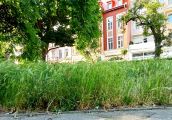 Rozdzielmy niechlujstwo od działań ekologicznych
