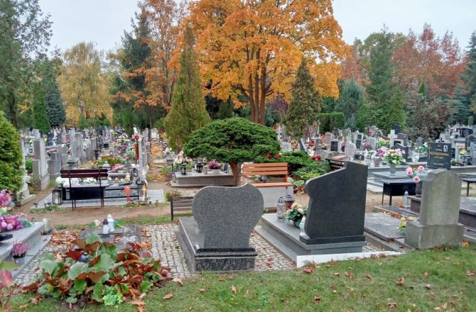 medium_news_header_31790.jpg
