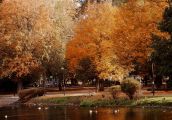 Gorzowskie wyimki Pani Krysi – Park Róż