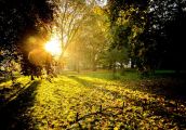 Prace w Park Wiosny Ludów w jesiennym słońcu