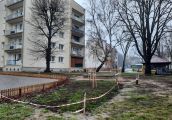 Z podziwem patrzę na niektórych