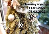 Zastanawiasz się co zrobić choinką po Świętach?