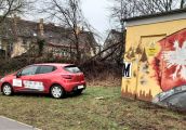 Dzień dobry Pani Redaktor!