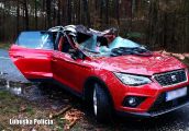Tragedia. Powalone drzewo zabiło kierowcę