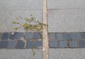 Tajfun albo jakaś inna cholera przetaczała się przez miasto