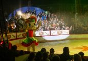 Jubileuszowe show Cyrku Zalewski w Gorzowie