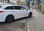 Jak się okazuje, trawa ważna jest nie tylko dla mnie