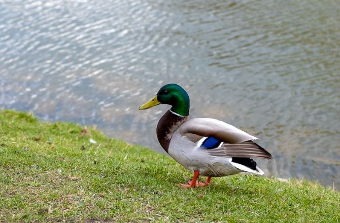 medium_news_header_33383.jpg