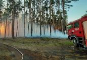 Można sprawdzić aktualne zagrożenie pożarowe w lasach