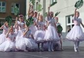 Tłumy na pikniku przy Śląskiej - galeria