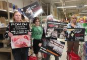 Zwrócili uwagę na cierpienie zwierząt hodowanych