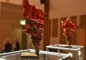Wakacje w pełni, a Motyle w gotowości