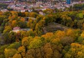 Przeglądy miejskiego drzewostanu