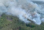 Leśnicy apelują o zachowanie ostrożności