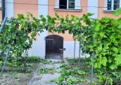 I znów tam jeżdżę, jak niemal co roku