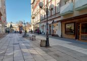 Nasadzenia poprawią walory ekologiczne i estetyczne 