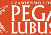 Promocja i spotkanie w bibliotece