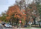 Dobiega końca polska złota jesień
